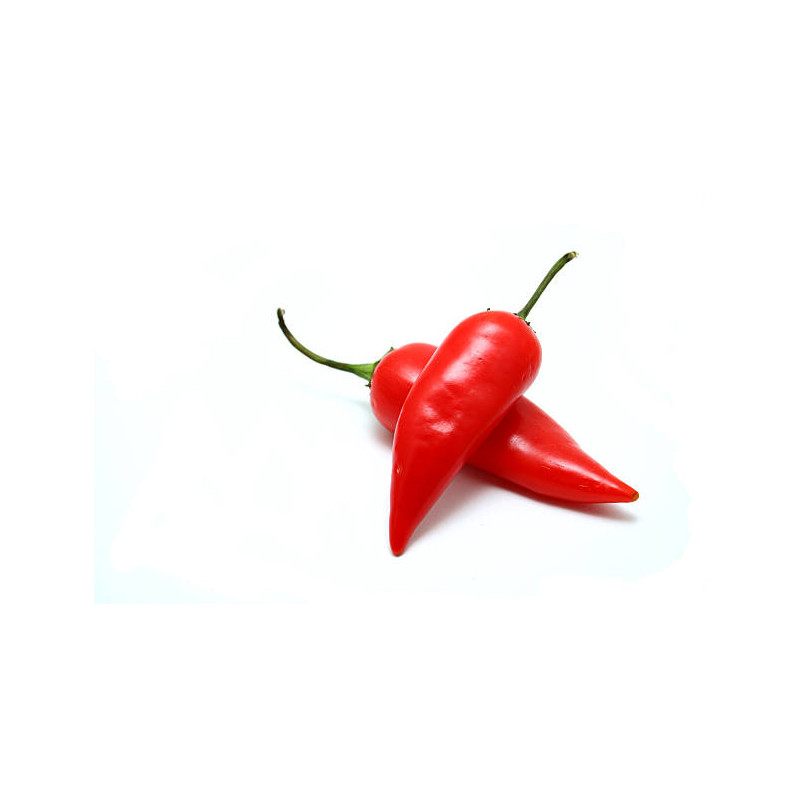 PIMENT JALAPENO ROUGE 2KG
